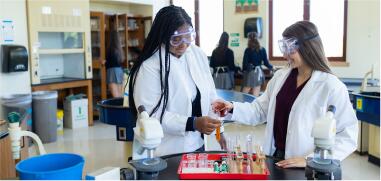 photo of students doing a lab experiment