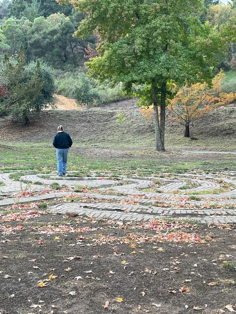 student reflecting in the maze