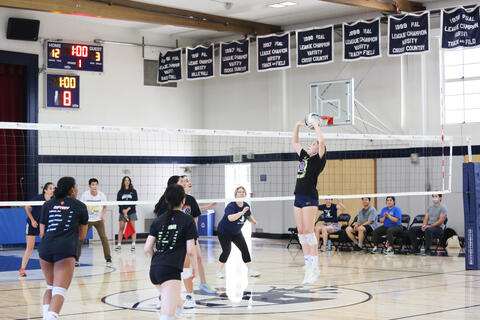 Varsity volleyball player setting
