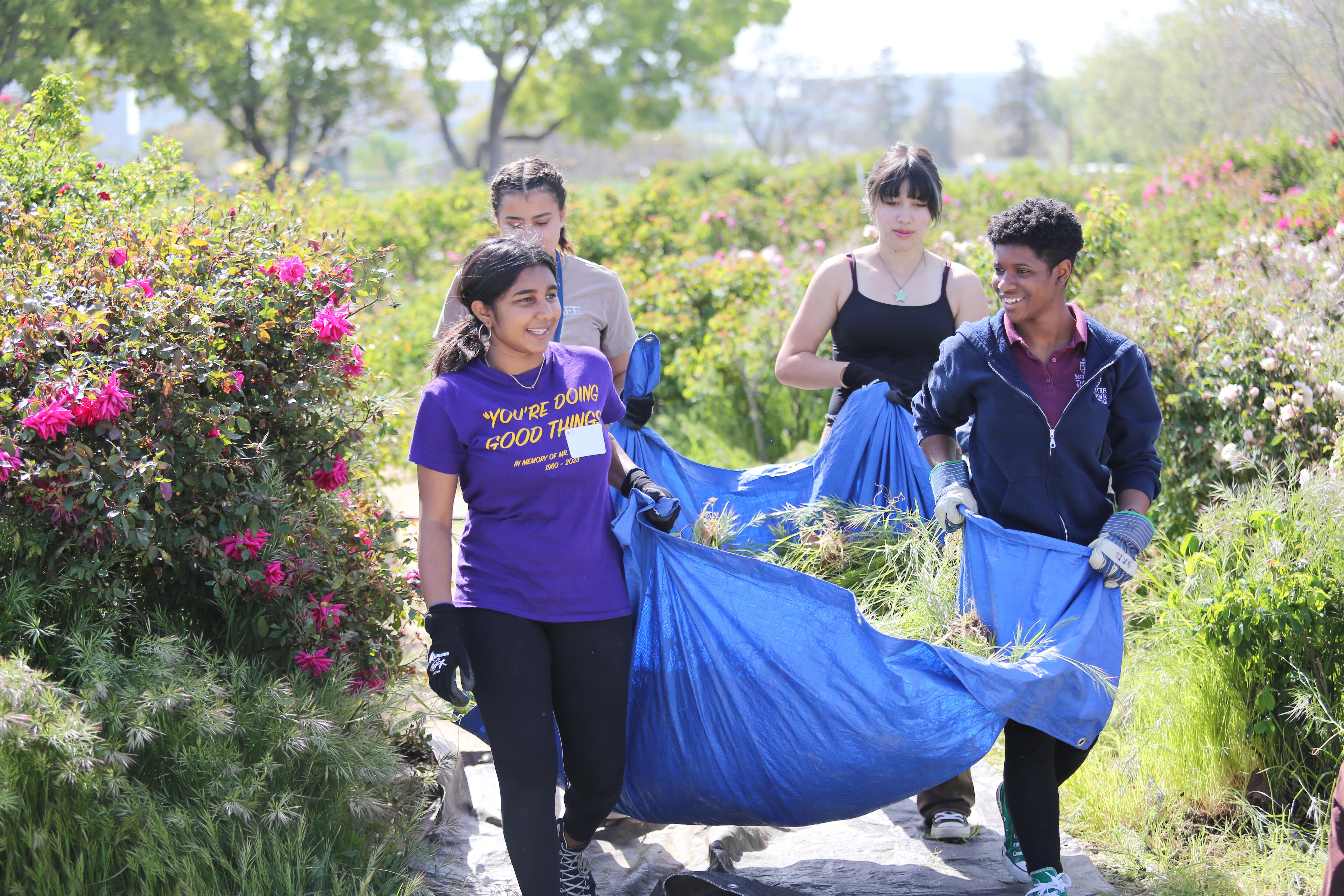 four students carrying a tarp full of weeds